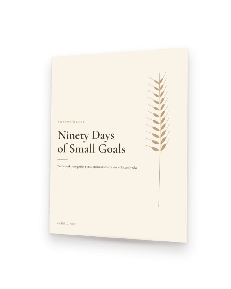 Ninety Days of Small Goals by Mara Linde, shown as a paperback standing at an angle