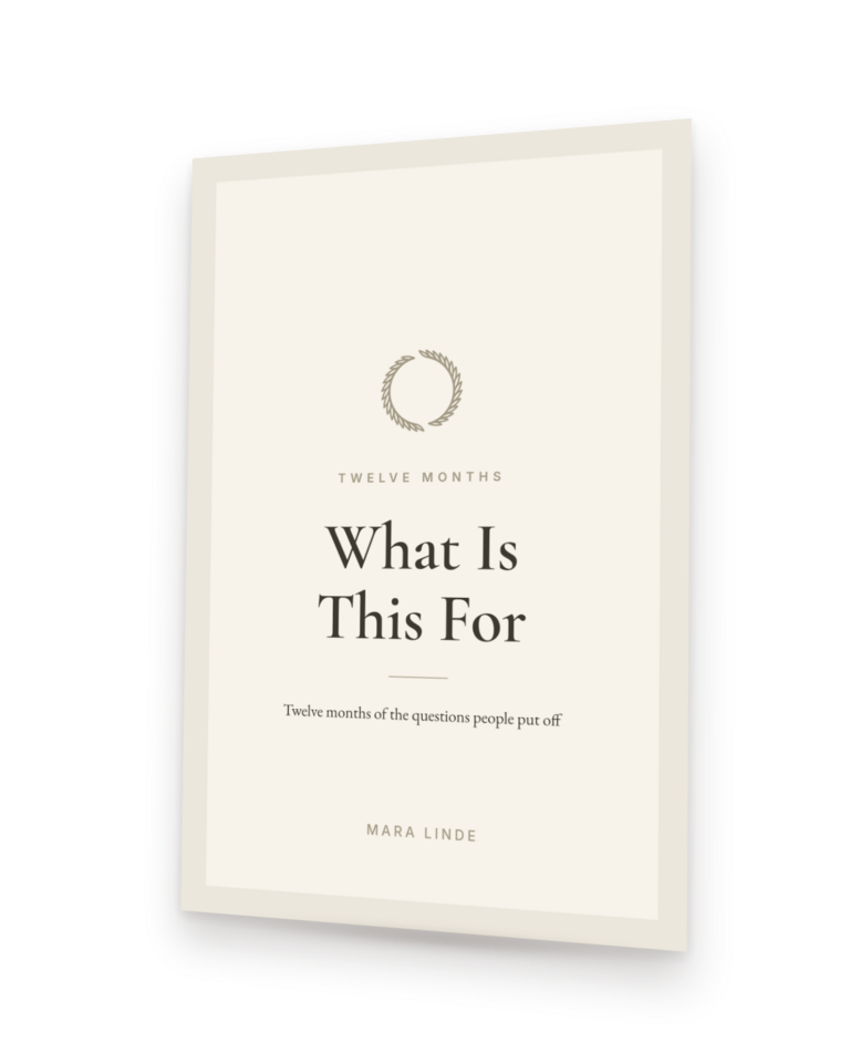 What Is This For by Mara Linde, shown as a paperback standing at an angle